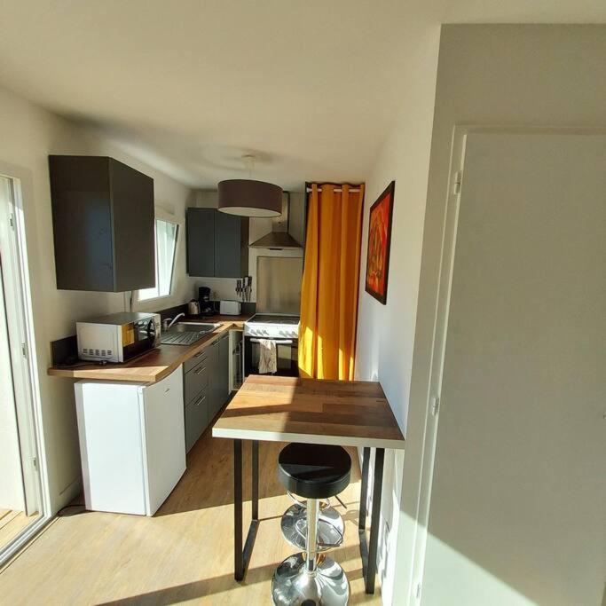Studio Avec Terrasse Et Jardin A 100 M De La Plage プロムール エクステリア 写真